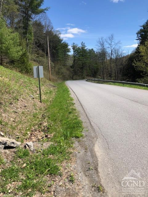 510 Mill Valley Road Middleburgh, NY 12122 - Photo 22 of 50 a view of a outdoor space