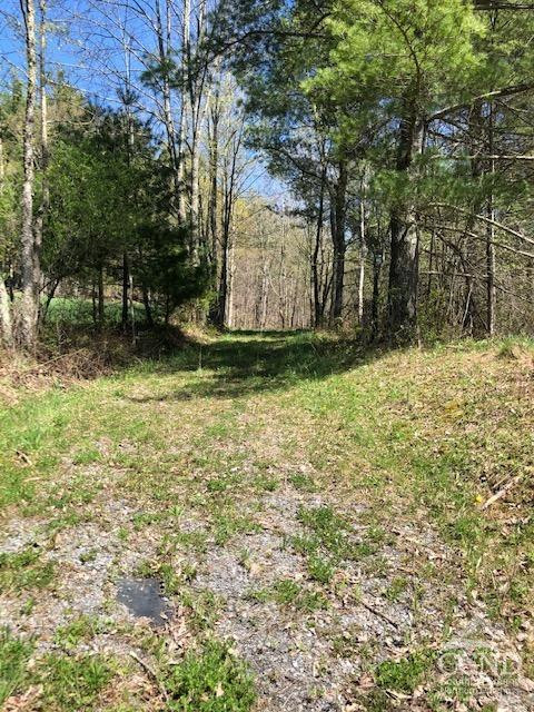 510 Mill Valley Road Middleburgh, NY 12122 - Photo 23 of 50 a backyard of a house with lots of green space