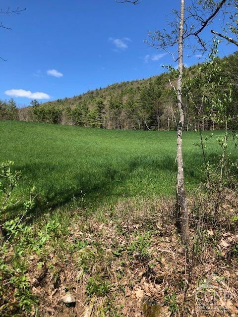 510 Mill Valley Road Middleburgh, NY 12122 - Photo 24 of 50 a view of a yard with a house in the background