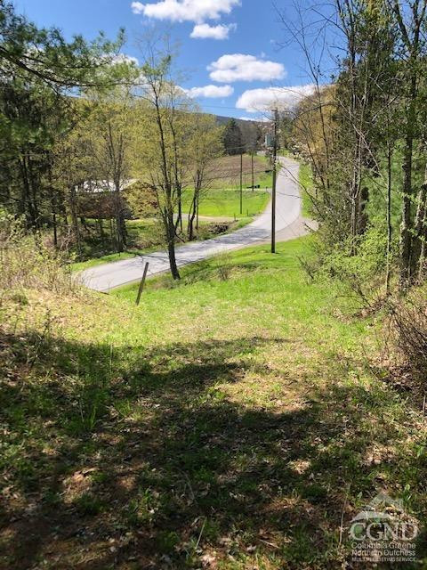510 Mill Valley Road Middleburgh, NY 12122 - Photo 25 of 50 a view of a garden