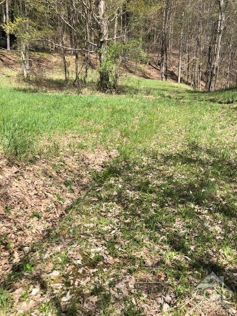 510 Mill Valley Road Middleburgh, NY 12122 - Photo 27 of 50 a view of yard with green space