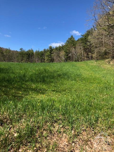 510 Mill Valley Road Middleburgh, NY 12122 - Photo 28 of 50 a view of a lush green outdoor space with a lake view