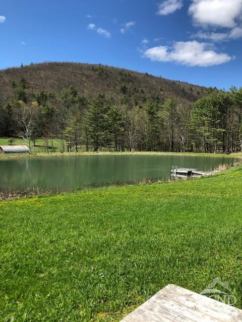 510 Mill Valley Road Middleburgh, NY 12122 - Photo 32 of 50 a view of outdoor space and mountain view