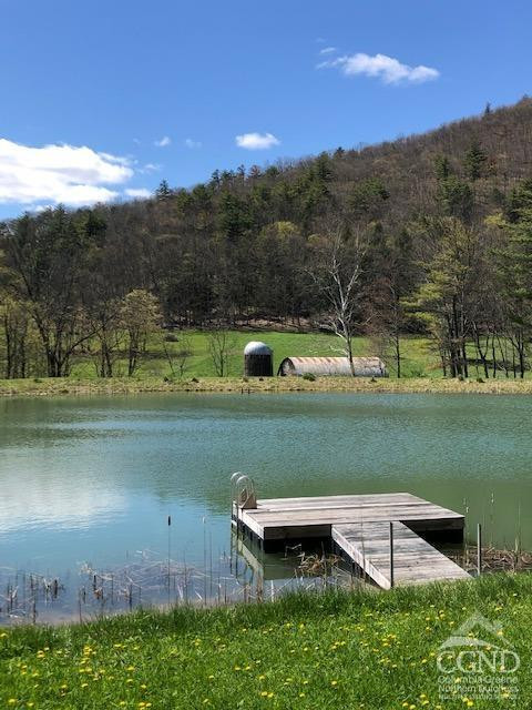 510 Mill Valley Road Middleburgh, NY 12122 - Photo 34 of 50 a view of a lake with a yard