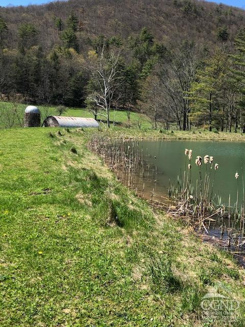 510 Mill Valley Road Middleburgh, NY 12122 - Photo 35 of 50 a view of a lake with a yard