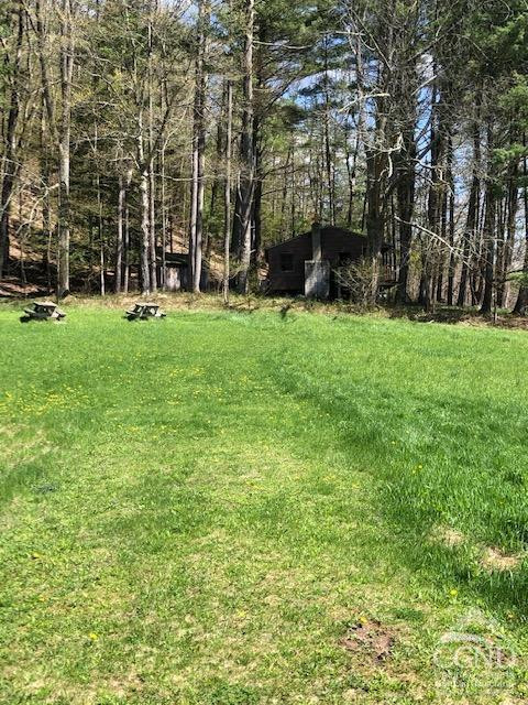 510 Mill Valley Road Middleburgh, NY 12122 - Photo 36 of 50 front view of a building with a yard