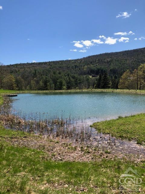 510 Mill Valley Road Middleburgh, NY 12122 - Photo 38 of 50 a view of a lake with a sunset