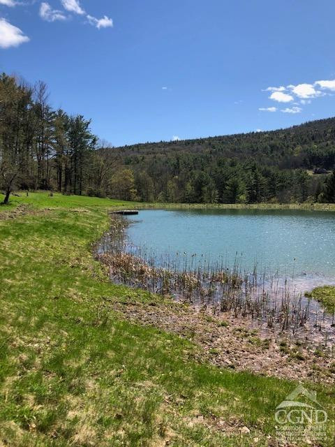 510 Mill Valley Road Middleburgh, NY 12122 - Photo 39 of 50 a view of a lake with an outdoor space