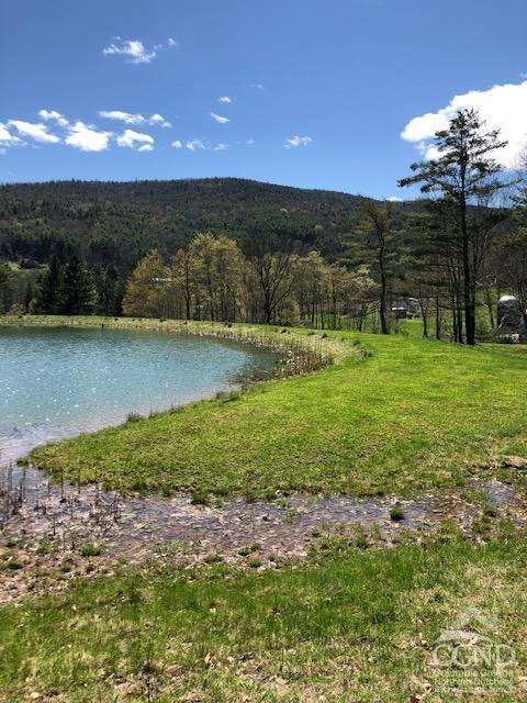 510 Mill Valley Road Middleburgh, NY 12122 - Photo 40 of 50 a view of a garden with a lake