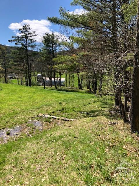 510 Mill Valley Road Middleburgh, NY 12122 - Photo 41 of 50 a view of a trees in a yard
