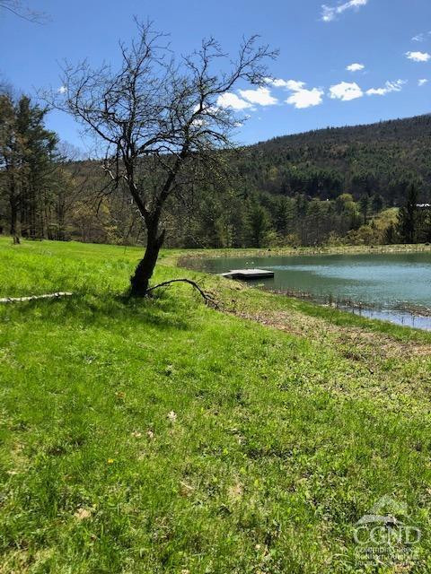 510 Mill Valley Road Middleburgh, NY 12122 - Photo 43 of 50 a view of lake with green space