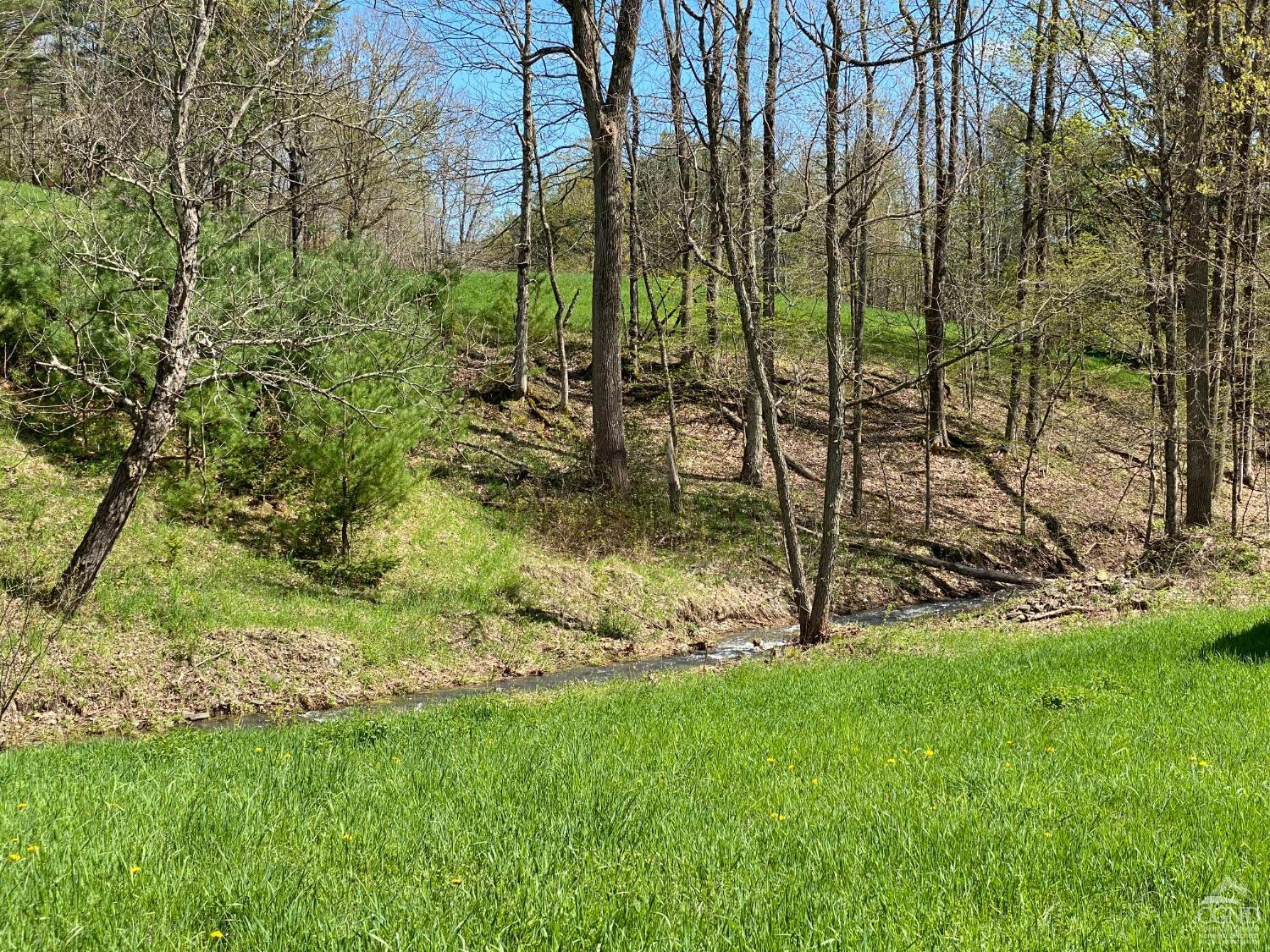 510 Mill Valley Road Middleburgh, NY 12122 - Photo 6 of 50 a view of yard