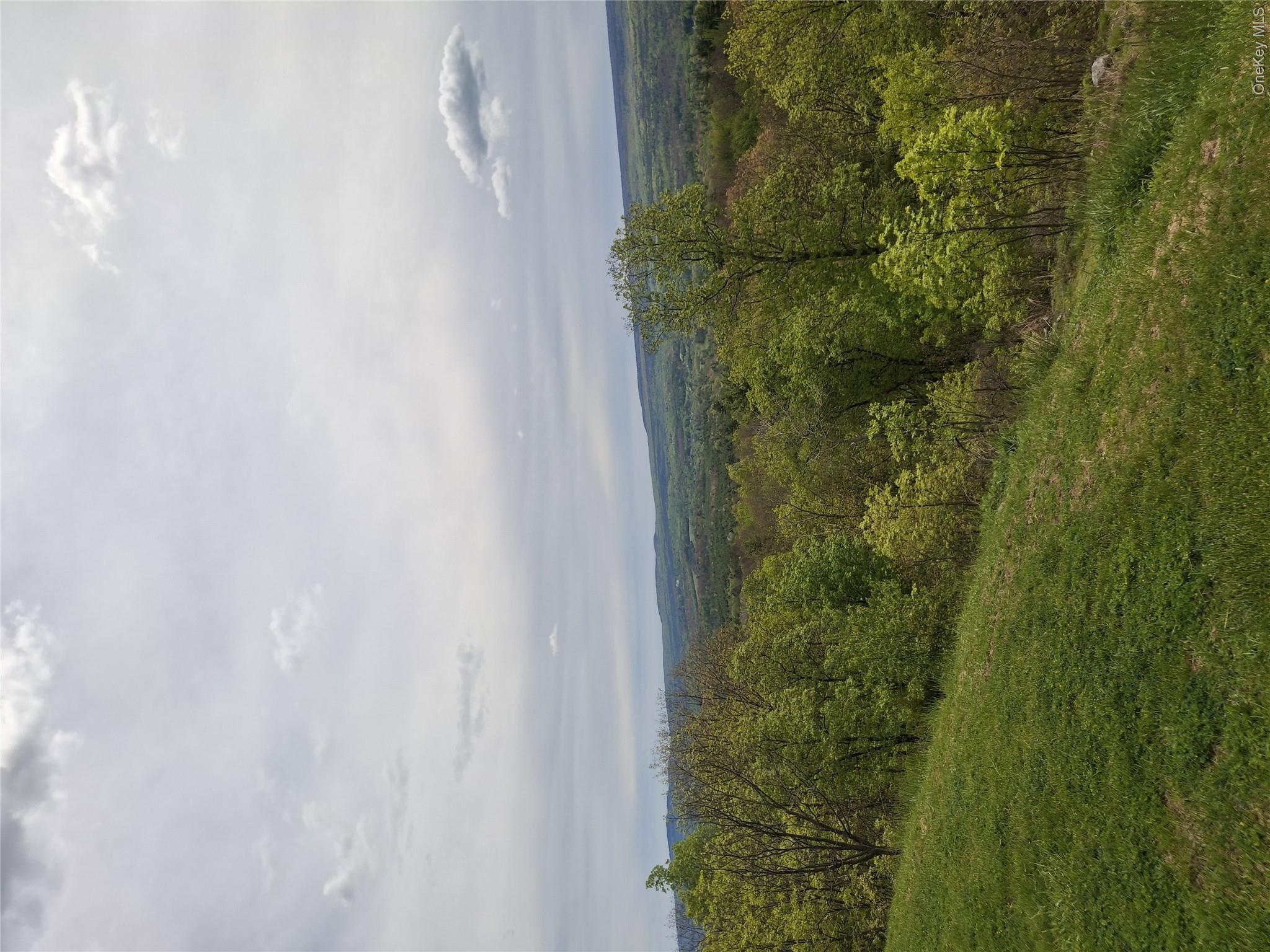 9 J&j Road Kerhonkson, NY 12446 - Photo 7 of 31