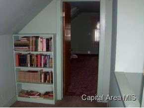 918 North 3rd Street Springfield, IL 62702 - Photo 13 of 17