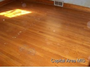 918 North 3rd Street Springfield, IL 62702 - Photo 8 of 17