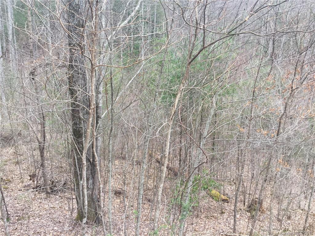 35 Garnet Road, Unit 35 Sylva, NC 28779 - Photo 4 of 6 Gallery Image 4