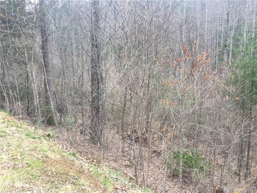 35 Garnet Road, Unit 35 Sylva, NC 28779 - Photo 6 of 6 Gallery Image 6