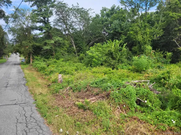 $99,900 | W Nys Rte 208-highway Bona Ventura) Avenue, Wallkill, NY 12589