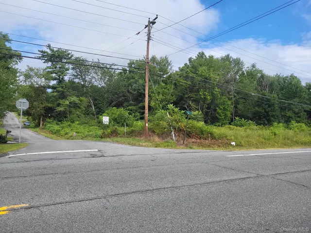 $139,000 | W Nys Rte 208-highway Bona Ventura) Avenue, Wallkill, NY 12589