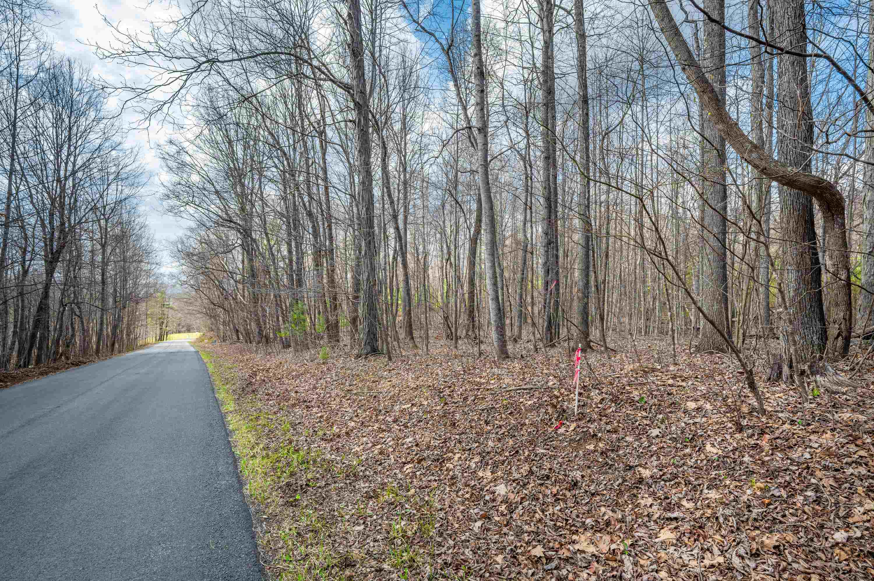 2301 Buffalo Mountain Road Southwest Willis, VA 24380 - Photo 15 of 37 Gallery Image 15