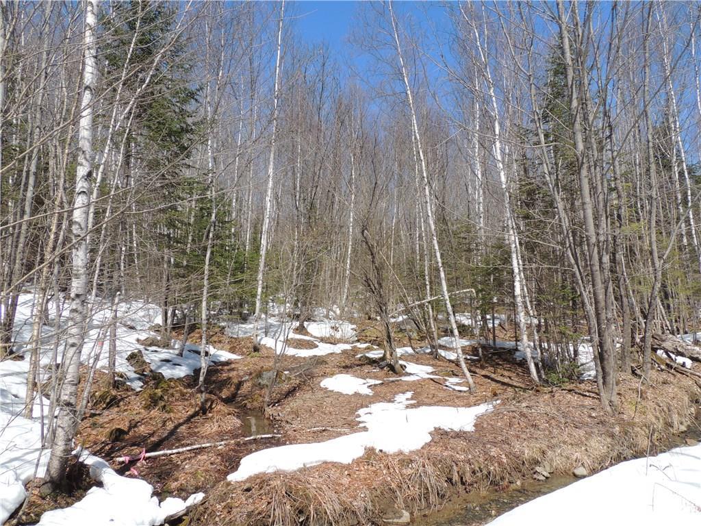 Tbd Lawrence Road Wellington, ME 04942 - Photo 3 of 4 Photo