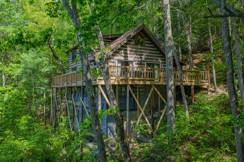 1049 Rockwater Road Ellijay, GA 30536 - Photo 38 of 45 Gallery Image 38