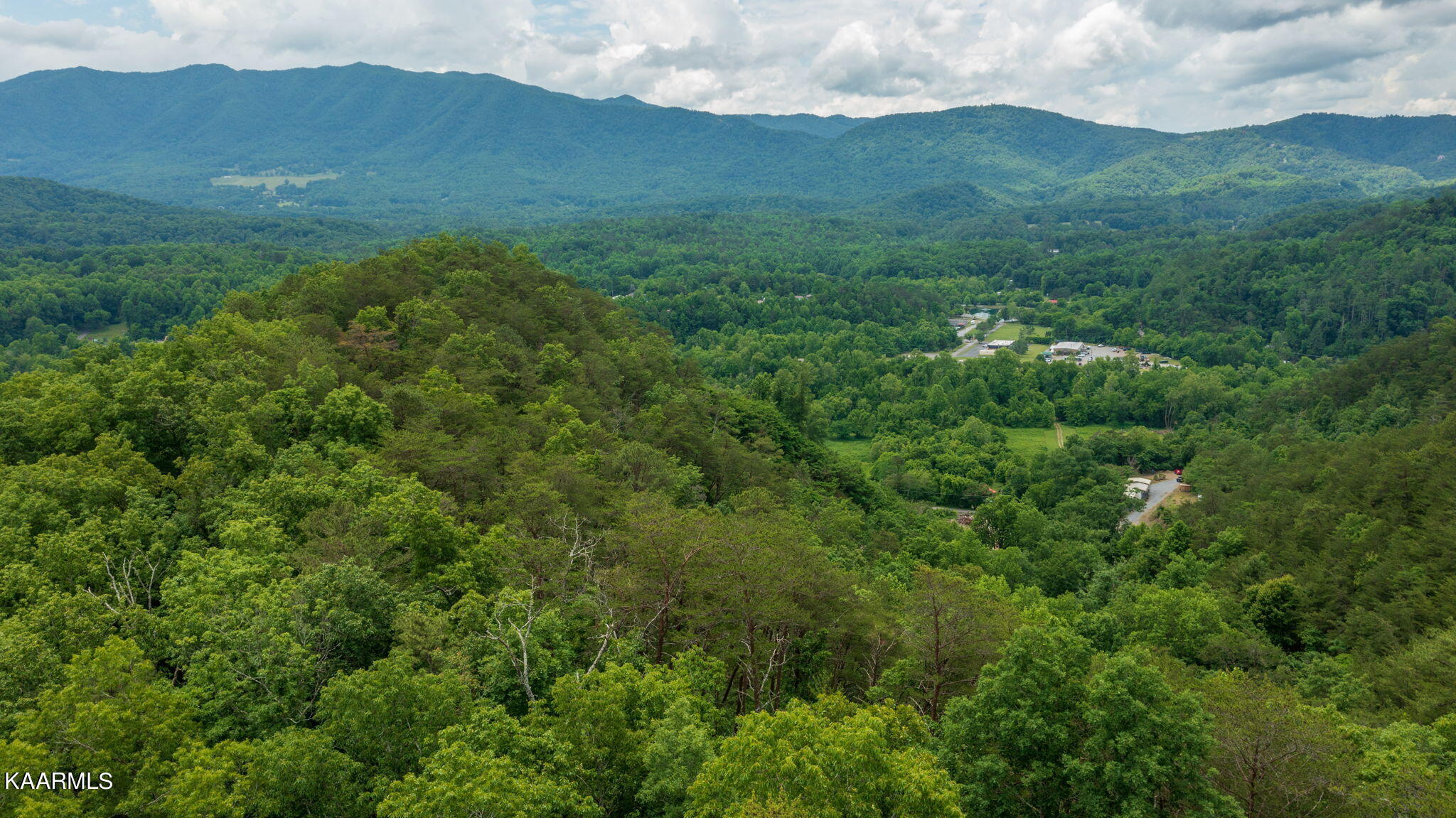 307 Cameron Road Townsend, TN 37882 - Photo 7 of 29 307 Cameron