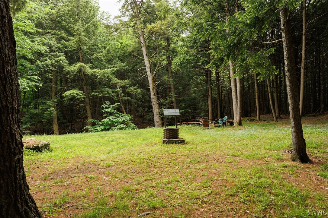 647 Heath Road Stockholm, NY 13676 - Photo 4 of 50