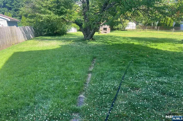 a view of a park with large trees