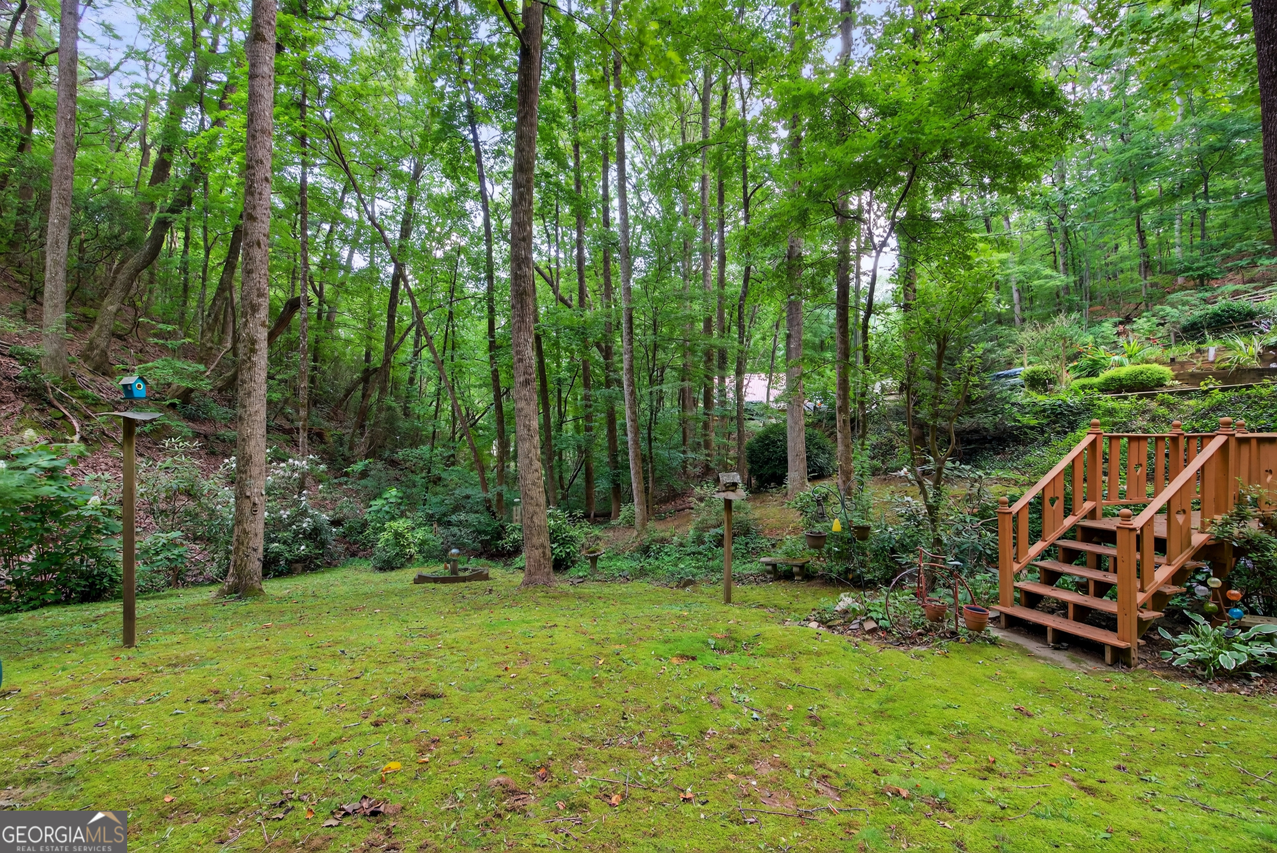 75 Juniper Trail Clayton, GA 30525 - Photo 32 of 38 a view of a backyard with plants and trees