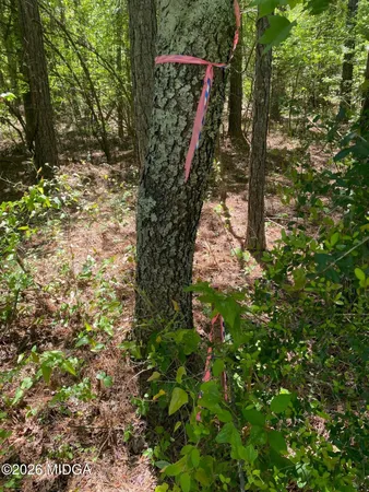 $90,000 | 0 Maynards Mill Road, Unit PARCEL 7, Forsyth, GA 31029