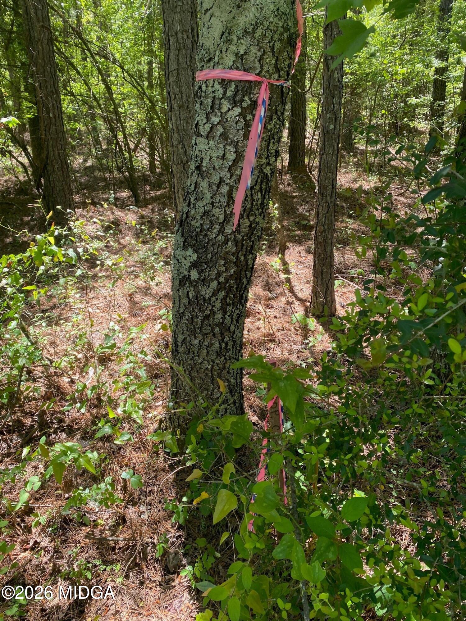 0 Maynards Mill Road, Unit PARCEL 7 Forsyth, GA 31029 - Photo 1 of 3 2