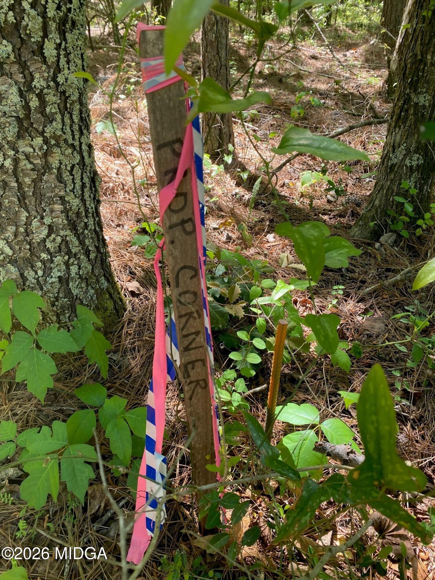 0 Maynards Mill Road, Unit PARCEL 7 Forsyth, GA 31029 - Photo 2 of 3 1