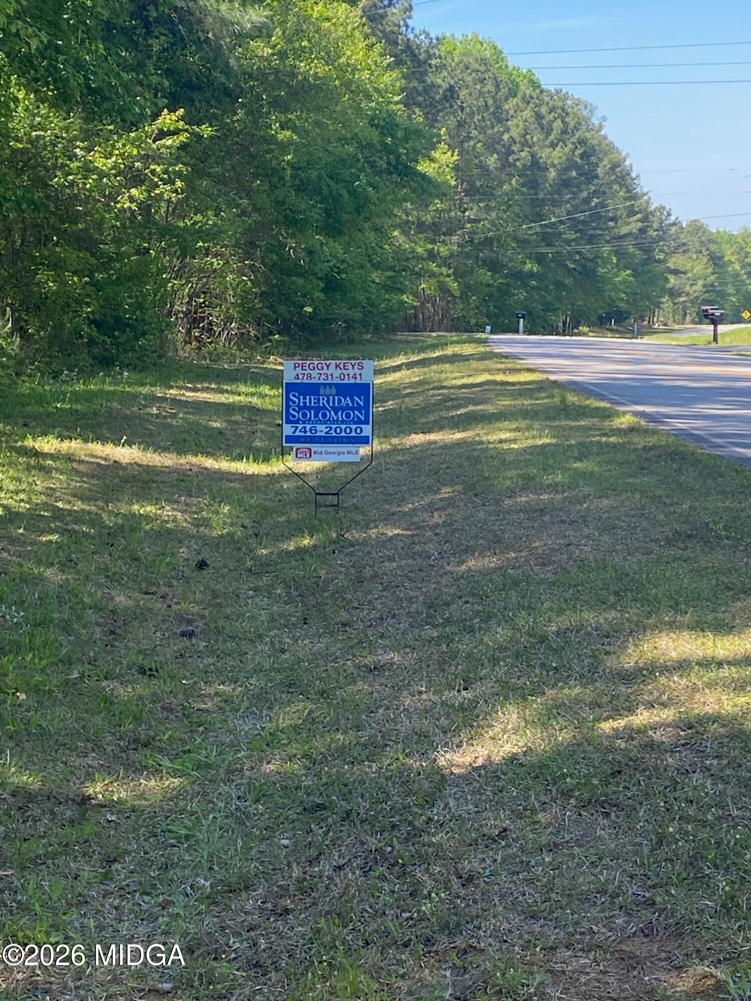 0 Maynards Mill Road, Unit PARCEL 7 Forsyth, GA 31029 - Photo 3 of 3 3