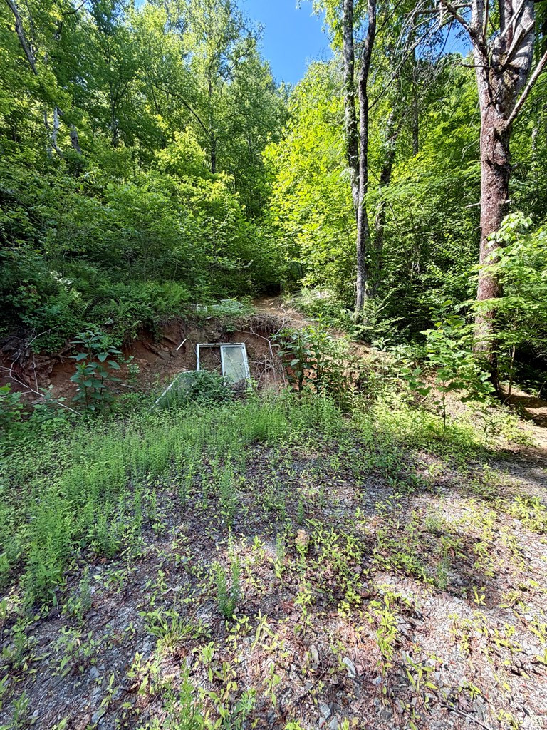 675 Ed Graves Road Murphy, NC 28906 - Photo 12 of 33