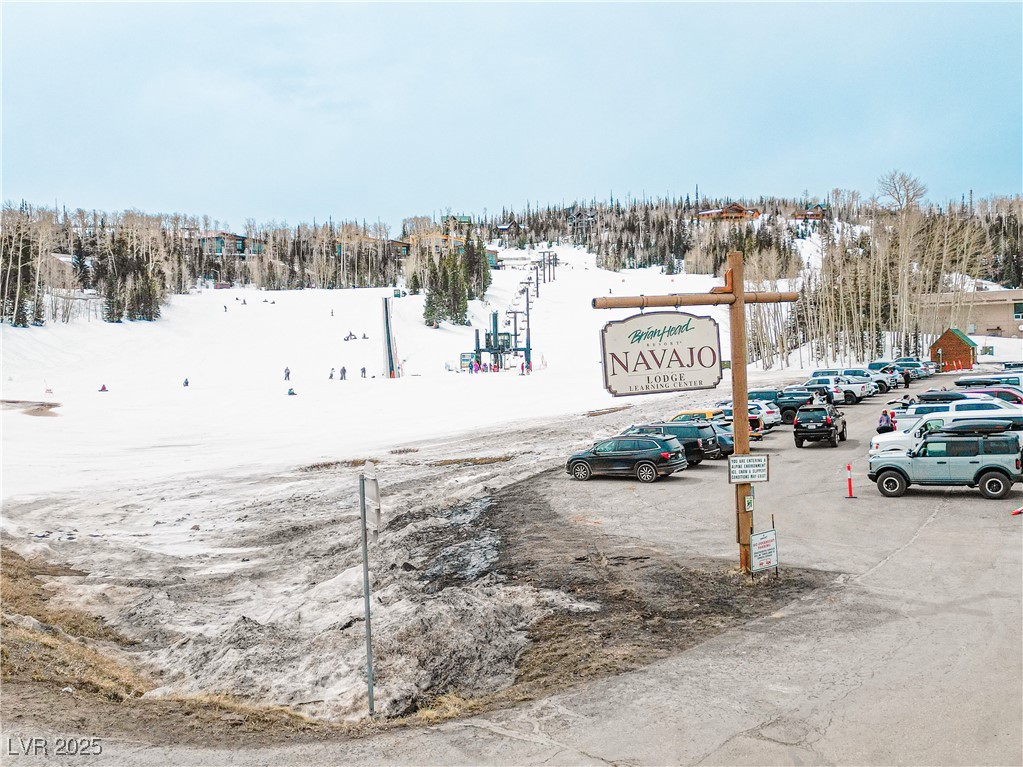 223 Hunter Ridge Drive, Unit 300 Brian Head, UT 84719 - Photo 41 of 48 View of road