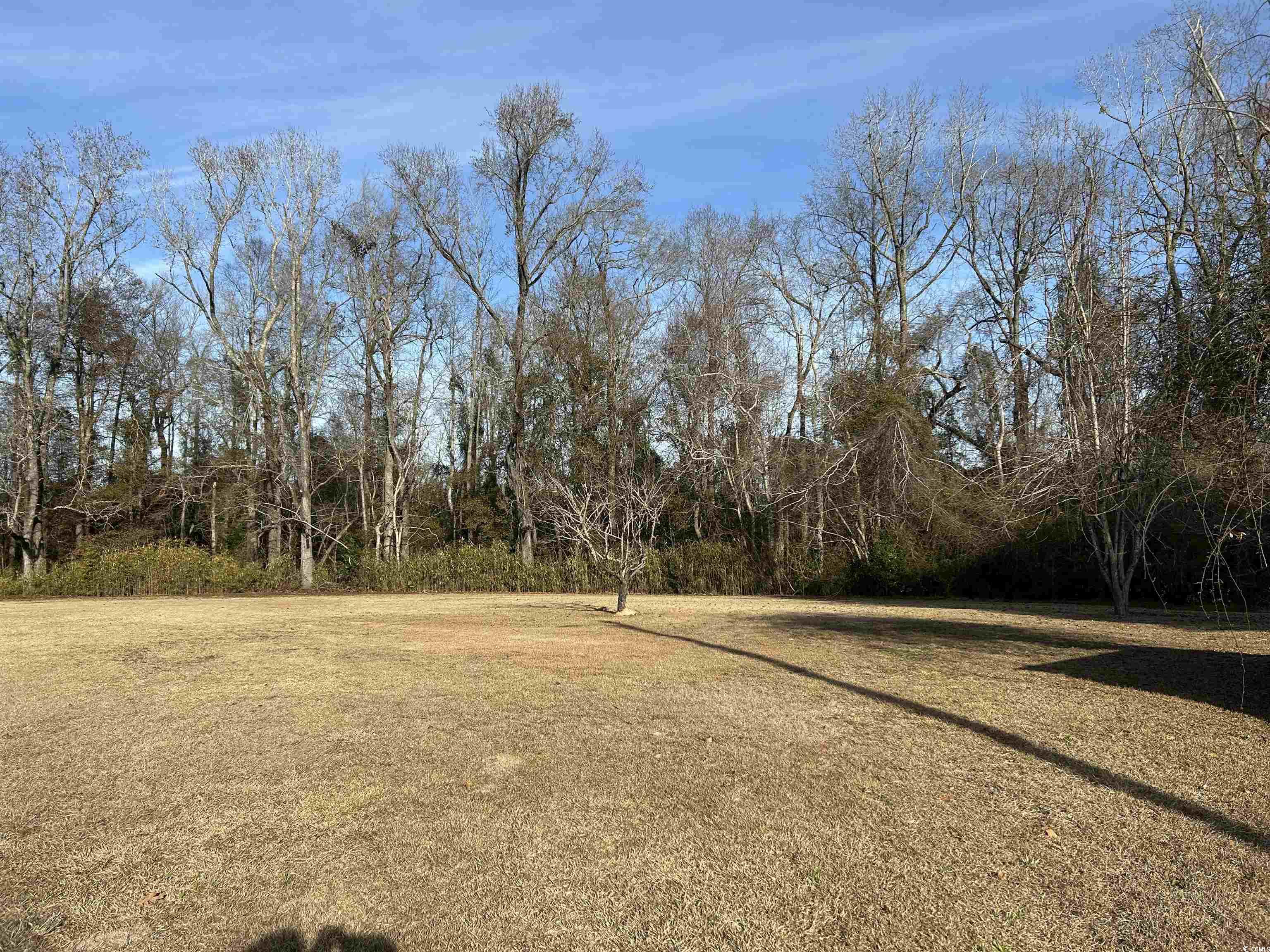 402 South Fire Station Road Columbia, SC 29209 - Photo 24 of 38