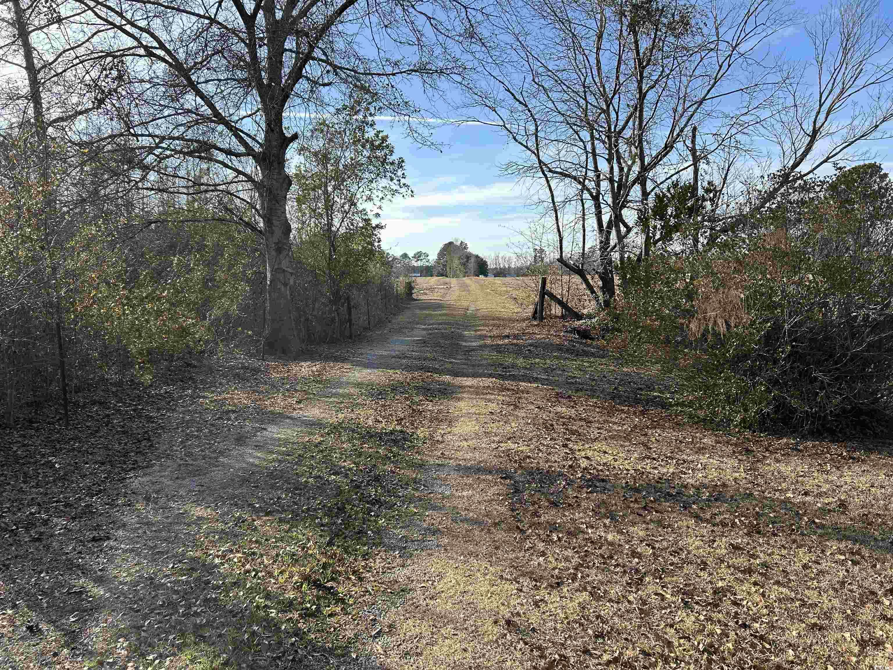 402 South Fire Station Road Columbia, SC 29209 - Photo 36 of 38