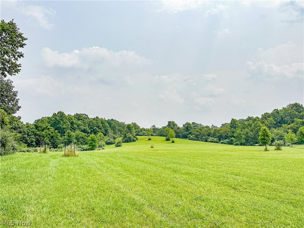 0 Pugh Road Cadiz, OH 43907 - Photo 11 of 21 View of yard