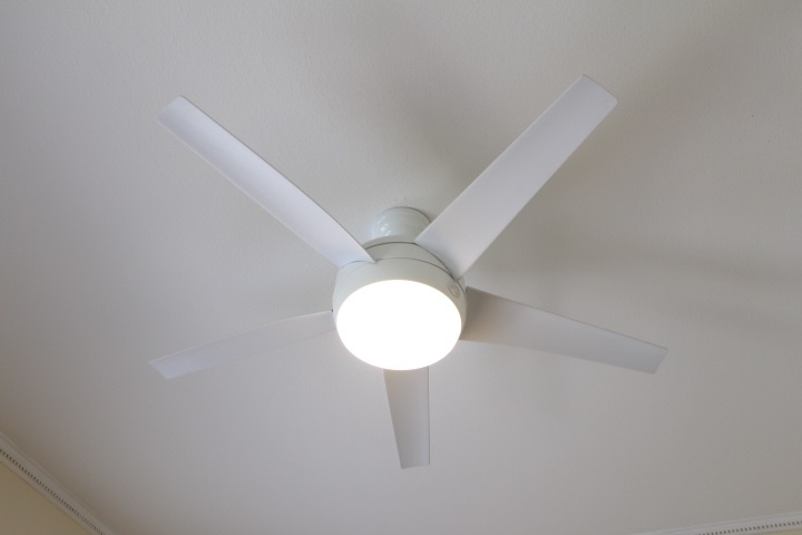 2104 Bullocks Run Road Tallahassee, FL 32303 - Photo 15 of 25 Gallery Image 15