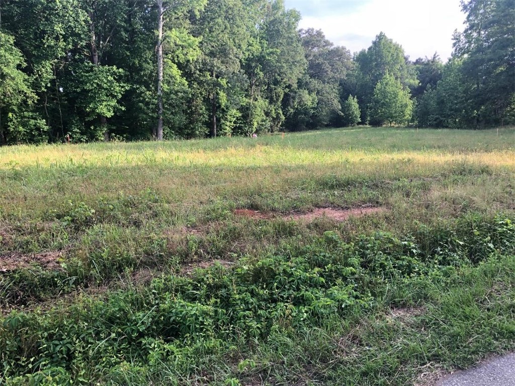 1292 Wilson Road Iva, SC 29655 - Photo 1 of 2