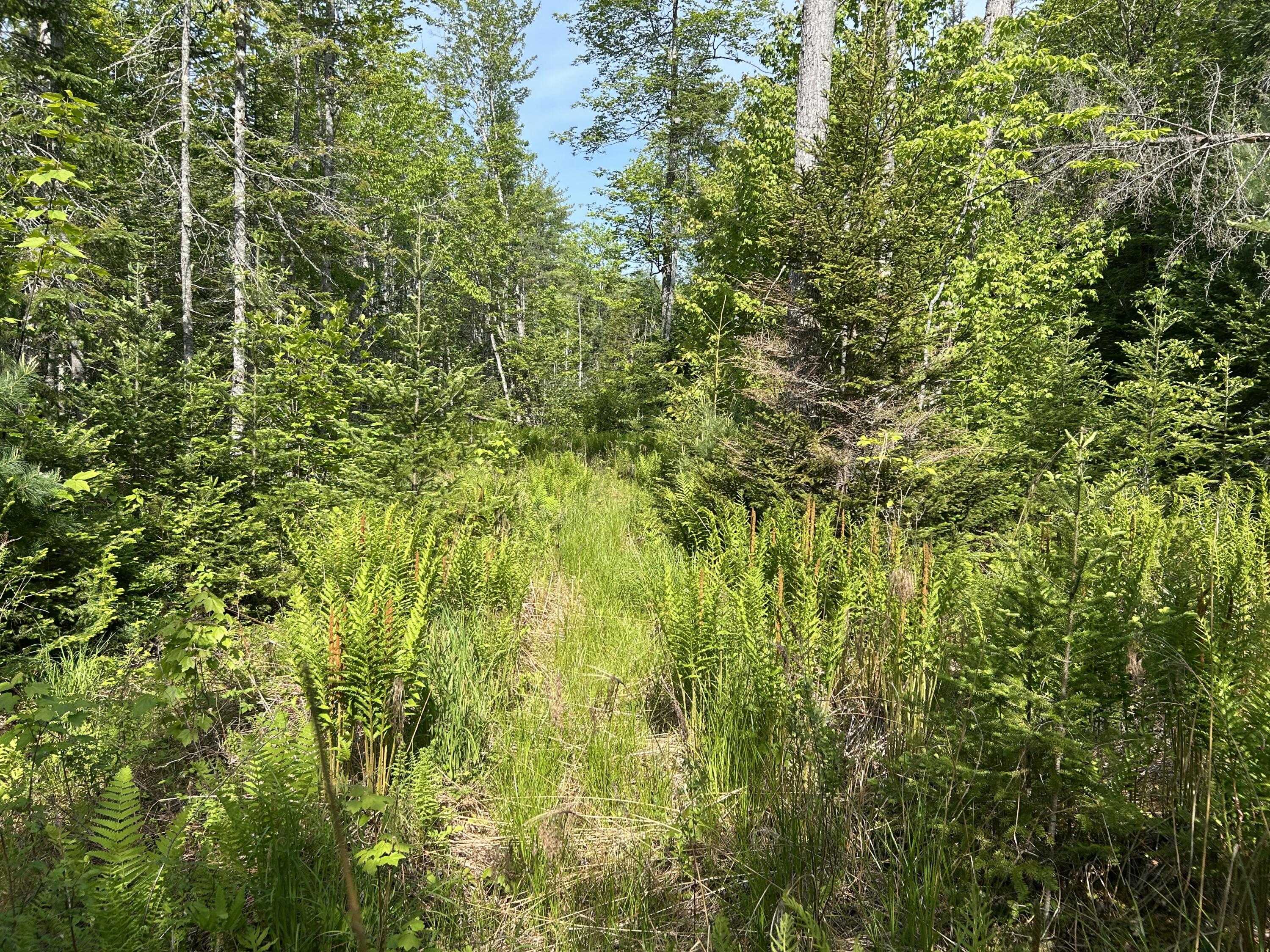 M5-l13 Clark Road Prospect, ME 04981 - Photo 32 of 33 IMG_8805