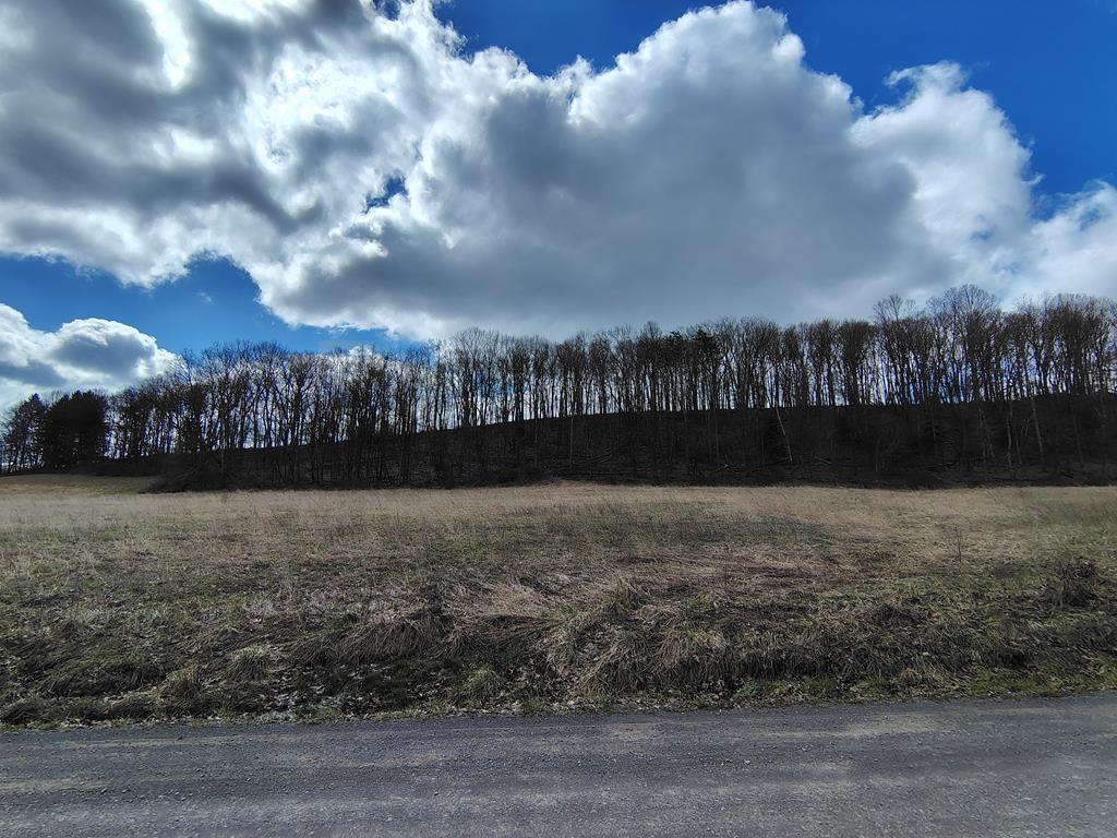 0 Maple Leaf Road Dayton, PA 16222 - Photo 18 of 46