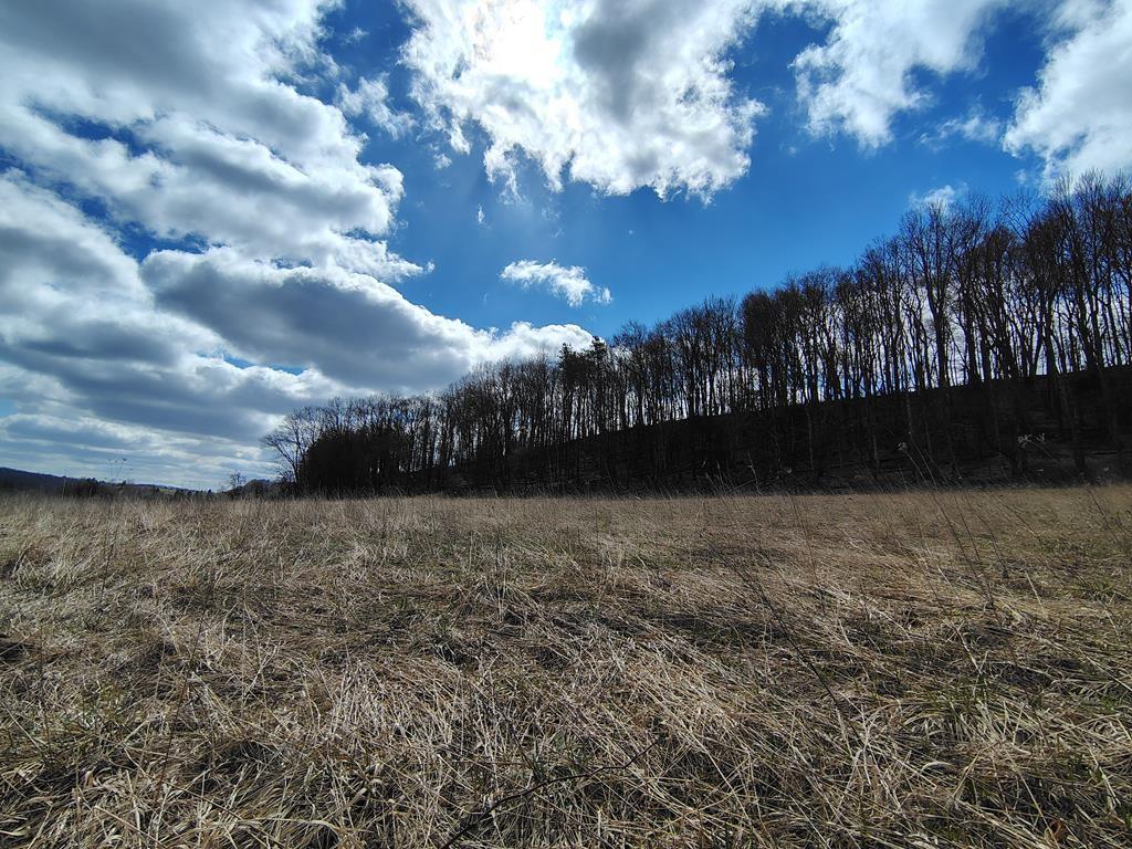 0 Maple Leaf Road Dayton, PA 16222 - Photo 21 of 46