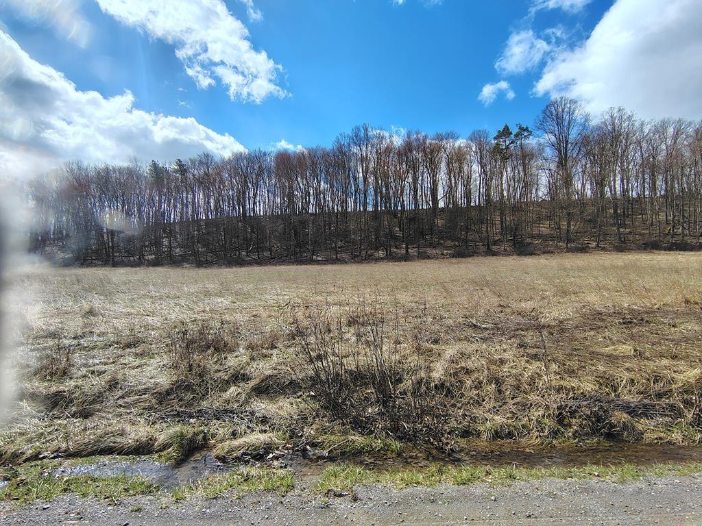 0 Maple Leaf Road Dayton, PA 16222 - Photo 29 of 46