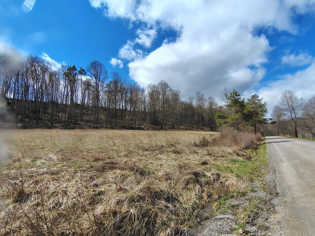 0 Maple Leaf Road Dayton, PA 16222 - Photo 31 of 46