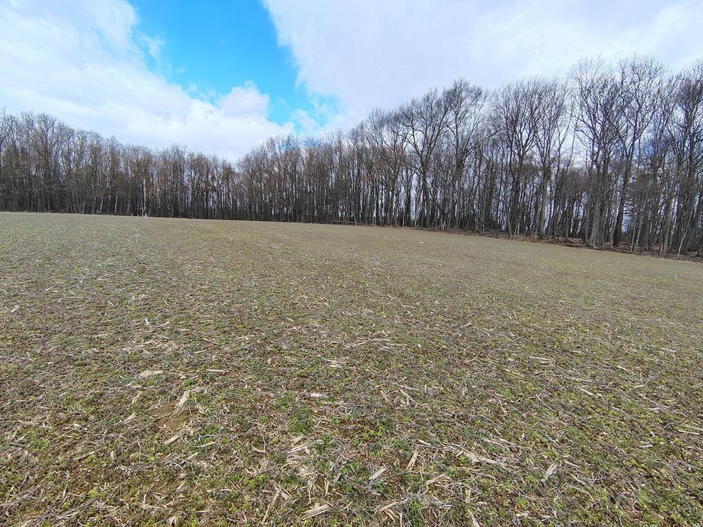 0 Maple Leaf Road Dayton, PA 16222 - Photo 33 of 46