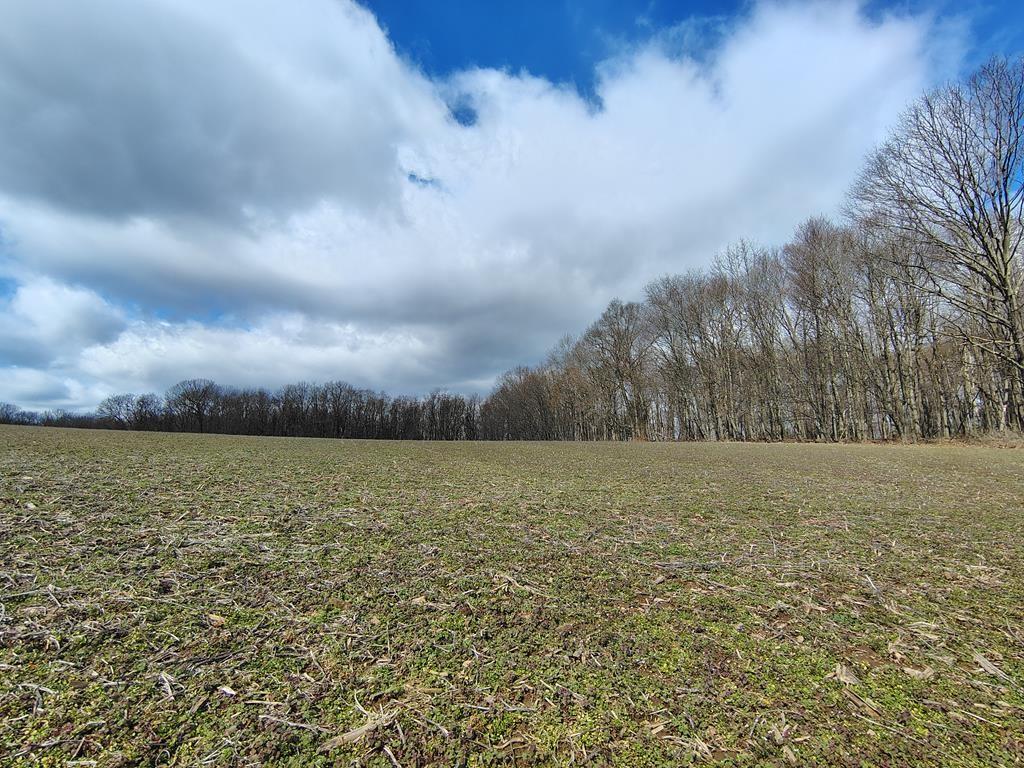 0 Maple Leaf Road Dayton, PA 16222 - Photo 44 of 46