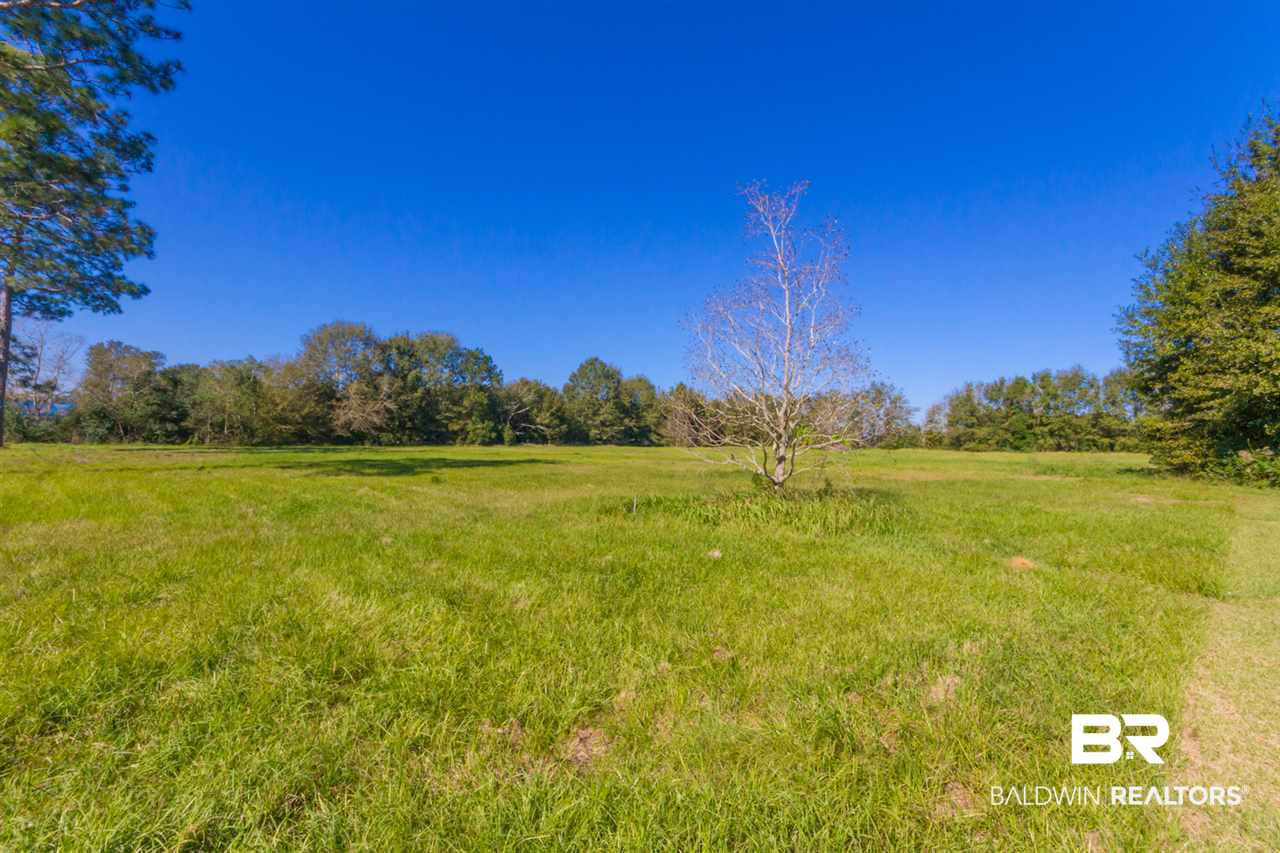 24701 State Street Elberta, AL 36530 - Photo 6 of 24