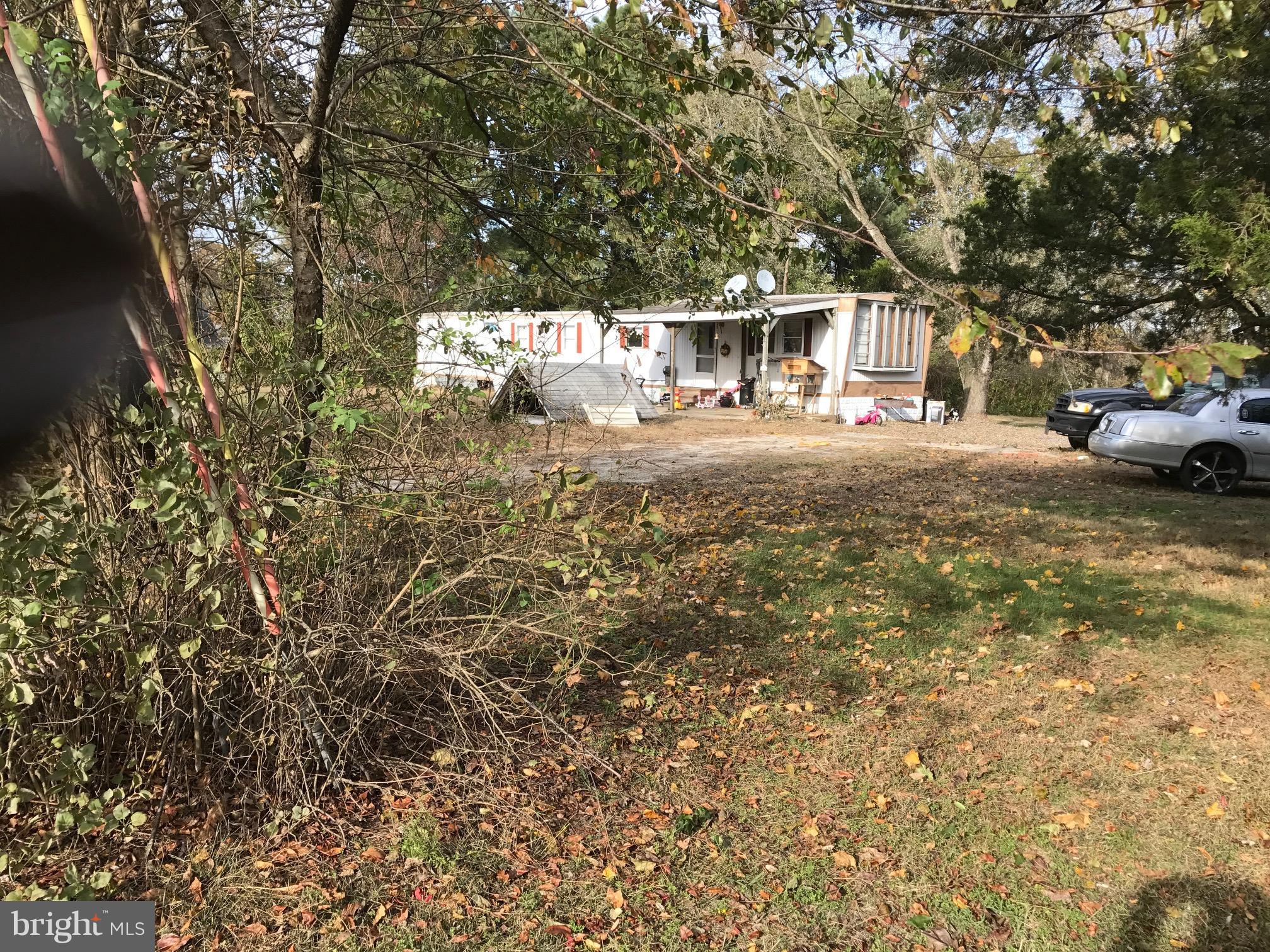 5625 Indiantown Road Rhodesdale, MD 21659 - Photo 1 of 2 a view of yard with tree s
